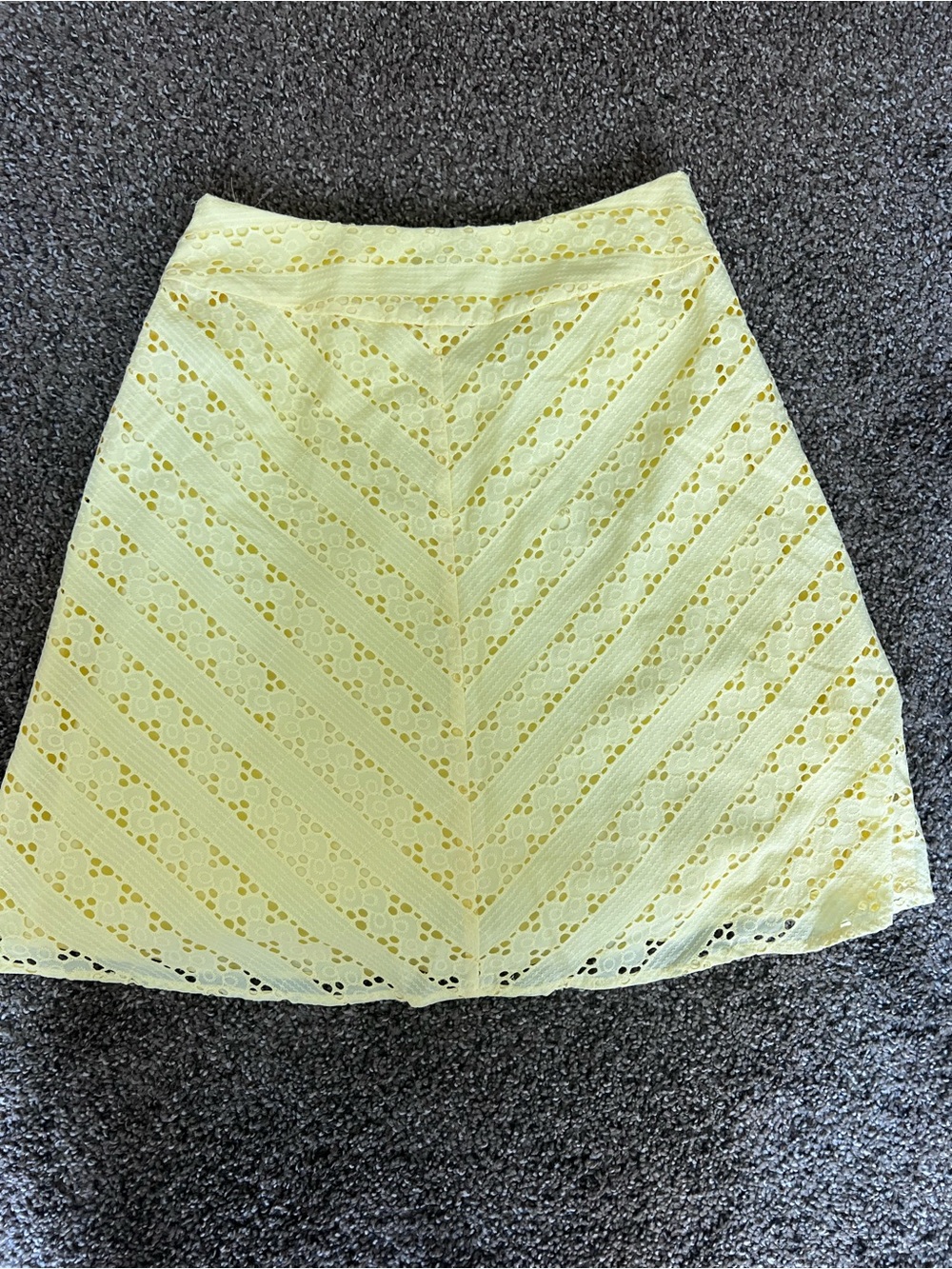 Ann Taylor Yellow Lace A-Line Skirt